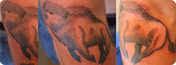 buffalo tattoo